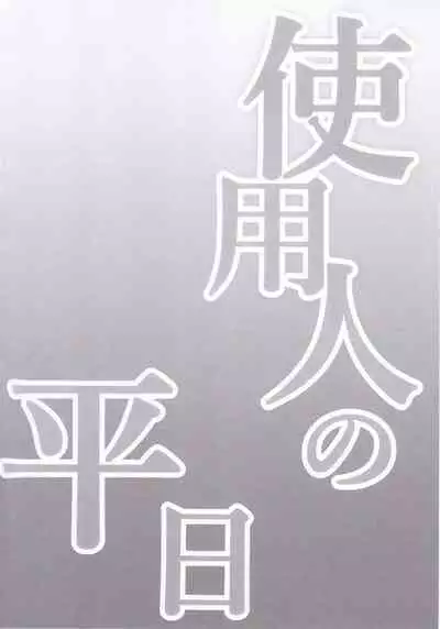 (Kouroumu 17) [Kingyo Origin (Kayama Rim)] Shiyounin no Heijitsu (Touhou Project) [English] [desudesu]