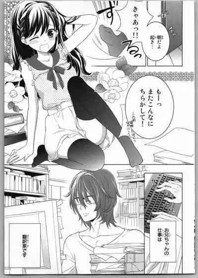 Onii-chan dakedo Ecchi ga Shitai