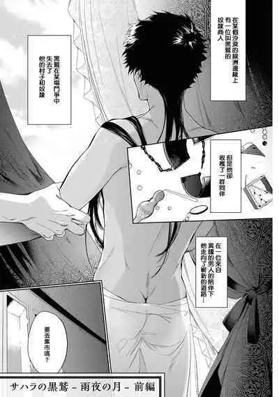 [Soutome Emu] Sahara no Kuro Washi 2 side Alkil | 撒哈拉的黑鹫2 | 雨夜的月亮 前篇+后篇 | 第一夜 - 第二夜 - 第三夜 [Chinese] [冒险者公会] [Digital]