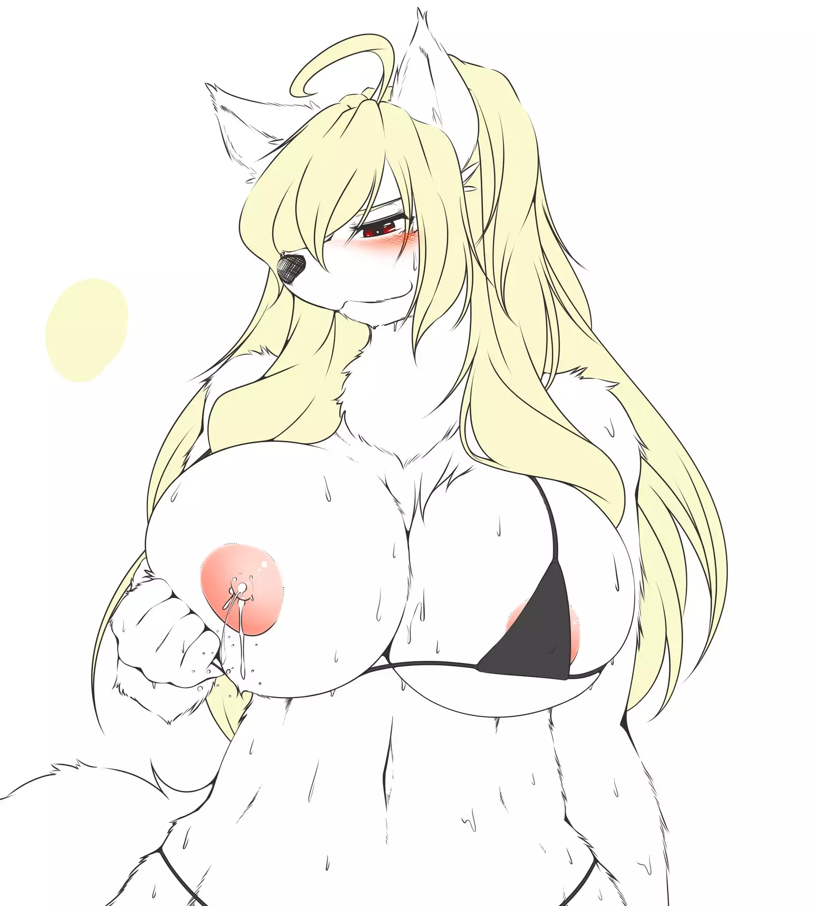 YUS’s Portfolio - ReCollection 1 & 2