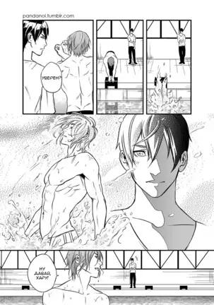 Better than Mackerel