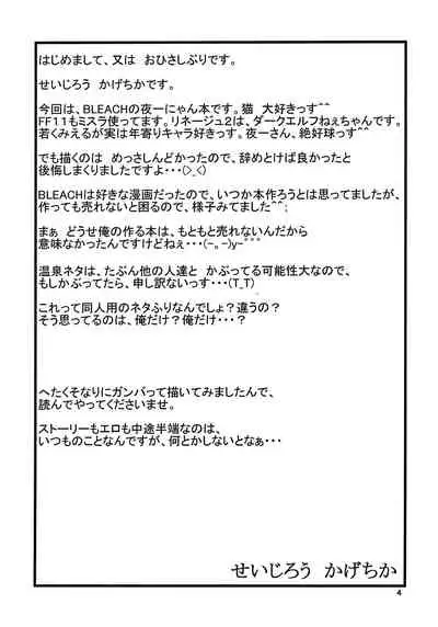 Yoruichi Nyan no Hon | Yoruichi Nyan Book