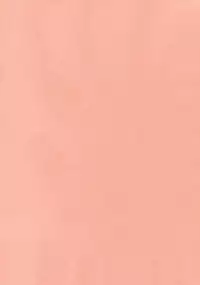 (Kouroumu 5) [Nimame (Nakayama Miyuki)] TORATONE (Touhou Project)