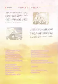 clover heart's visual fan book