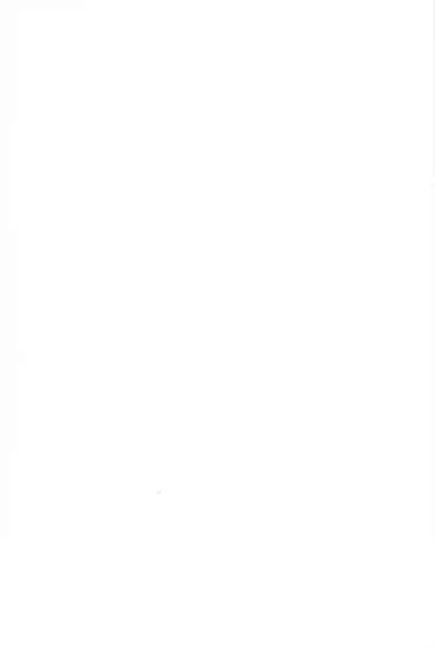 [DummyUsagi (Nijino Okayu)] Mugen-sama, Dou ka Otawamure o (The Legend of Hei)