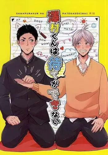 七咲さんのおもちゃ