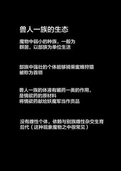[B-kyuu Site (bkyu)] B-Kyuu Manga 8 Mamono no Hanayome (Dragon Quest XI) [Chinese] [不可视汉化]