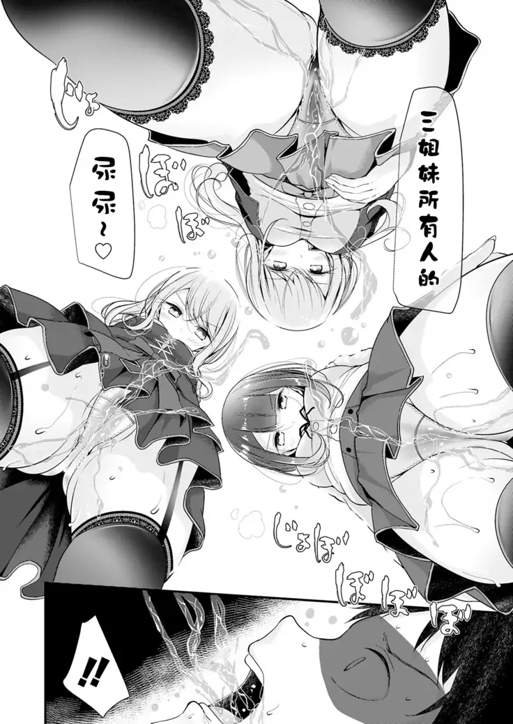 Pet or Slave 暦家の場合