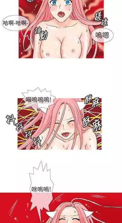 小野貓馴服手冊