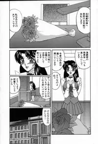 [Yamamoto Yoshifumi] Inzetsu no Bara - Desolute Rose