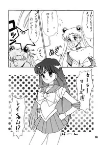 [Himitsu Kessha Tsuki to Yousei] Re-Flesh! (Sailor Moon)