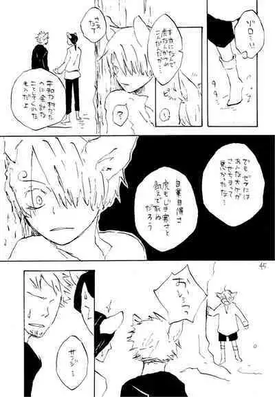 海の虹が沈む森