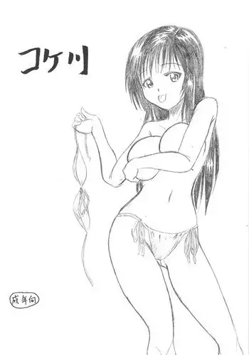 Covert Kaisou no Susume - Guide of convert refurbishment