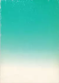 (C49) [studio C-TAKE (Miura Takehiro, NeWMeN)] SALTY BOX