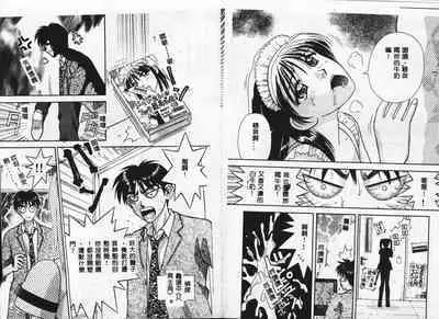 Chousa File H - Investigation File