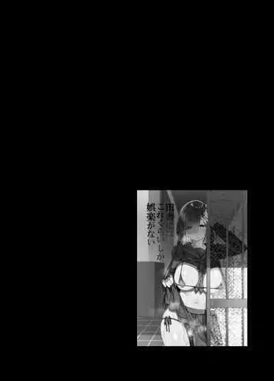 Inaka ni wa kore kurai shika Goraku ga nai Soushuuhen