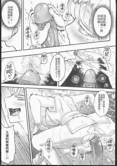 百華莊10《禁斷戒護 身著白衣的金銀雙煞》