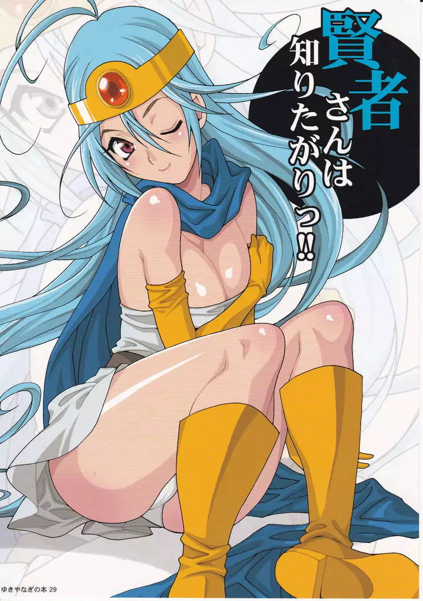 Yukiyanagi's Book 29 - The Curious Sage