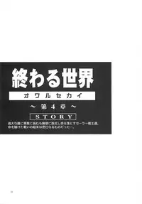 [Kotori Jimusho (Sakura Bunchou)] Owaru Sekai dai 4 shou (Sailor Moon)