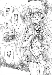 (C73) [Kotori Jimusho (Sakura Bunchou)] Gisei to Inori wo... (Sailor Moon)
