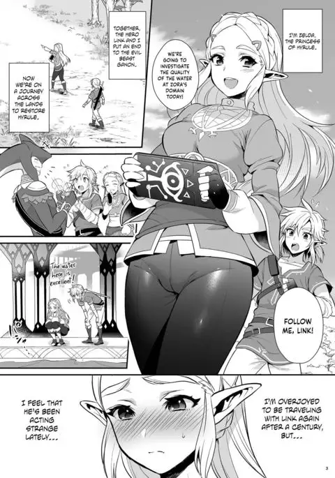 Hyrule Hanei no Tame no Katsudou! | Taking Steps to Ensure Hyrule's Prosperity! =The Lost Light=