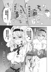 (Reitaisai 8) [Uminari (Narumi)] Alice de Asobo (Touhou Project) [Chinese] [好想玩梗汉化组]