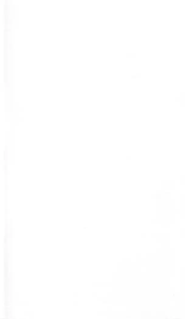 FORTUNE ARTERIAL 白編