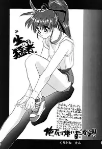 (C49) [Ganso Sonoda Ya (Various)] Chousen Ame Ver.08