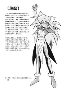 (C57) [Studio Katsudon (Manabe Jouji)] HELP ME Nyanmar-sama vol.2 (Juuni Senshi Bakuretsu Eto Ranger) [English] [SaHa]