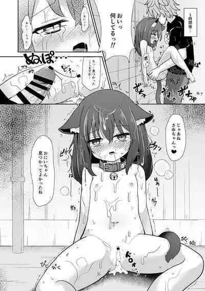 Machi no Neko ga Kmatte Itanode Sukutsute Ageta