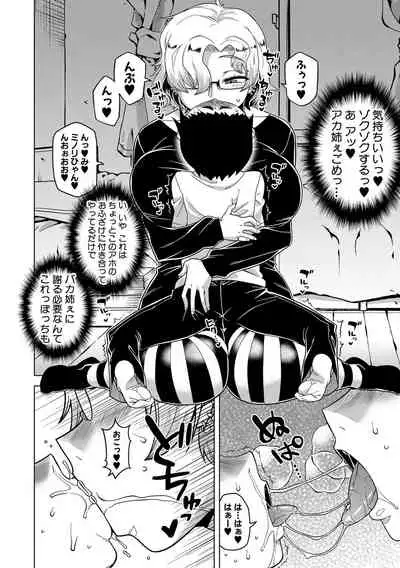 Chotto Bijin de Mune ga Dekakute Eroi dake no Baka Nee