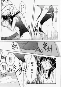 (CR28) [RYU-SEKI-DO (Nagare Hyo-go)] Geschwister (Sister Princess)