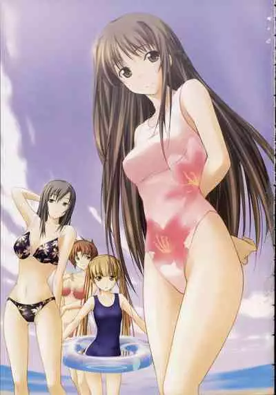 Shin Ringetsu Visual Fanbook