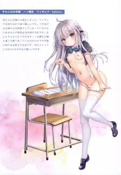 Kinokonomilk 17