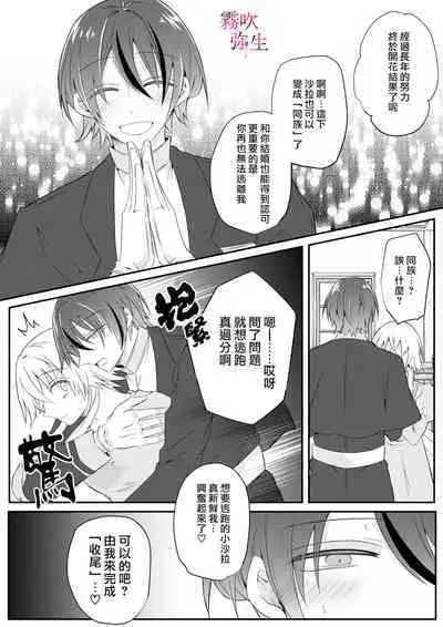Dekiai Kei Yandere Kyoudai Ouji wa Itoshi no Shinkan Mazoku Ochi Sasetai | 溺愛係病嬌王子兄弟想讓心愛的神官墮落成魔族