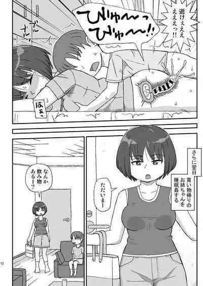 Onee-chan wa Nannichi de Ninshin Suru no ka