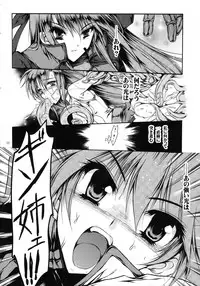 (Lyrical Magical 5) [Gin No Hoshitei (Tamiya Akito)] In Search Of Sanity (Mahou Shoujo Lyrical Nanoha)