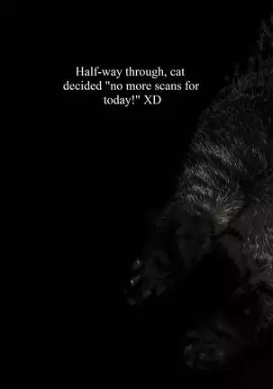 Tsukishima's Love Letter