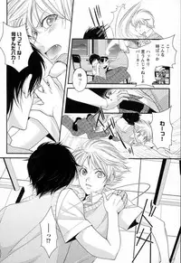 [Narcisse Noir] Megane Danshi Pink Houshi