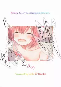 (C92) [Little Hamlet (Kiira)] Komeiji Satori no Aozora no Shita de.... (Touhou Project)