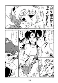 [Himitsu Kessha Tsuki to Yousei] Re-Flesh! (Sailor Moon)