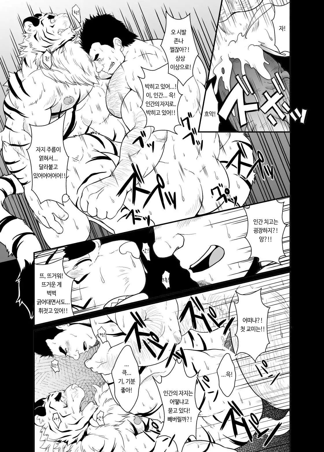 Toradorei -KEMONO Company 2- | 호랑이 노예 -KEMONO 컴퍼니 2- .