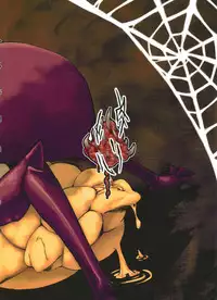 [Niku Drill (Toumasu)] Jingai Shunman Ko no Sho [English] {Anonygoo} [2010-06-12]