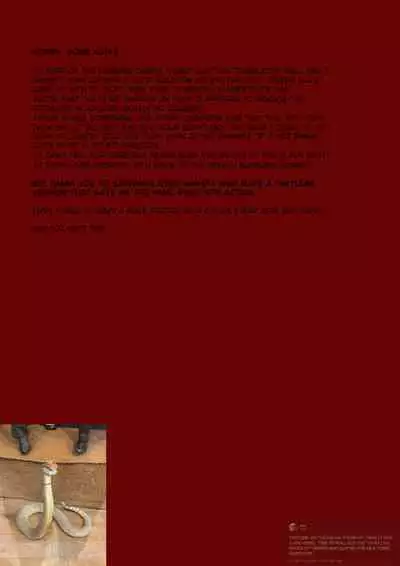 Yumemi Riamu wa Dame ni Suru