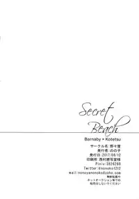 (C92) [nonoya (nonoko)] Secret Beach (TIGER & BUNNY)