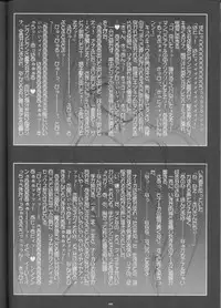 (C55) [Barricade (Nishizaki Byouya)] Aara-ISM (Slayers)