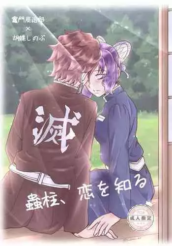 鋼鉄魔嬢の切ない嬌声