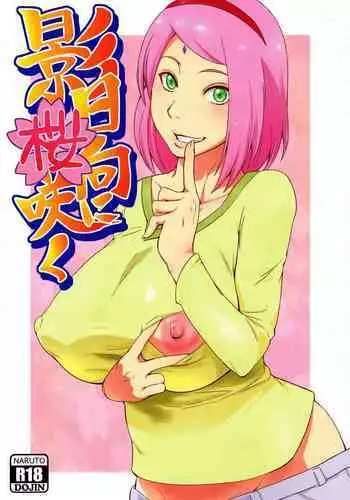 (C92) [Karakishi Youhei-dan Shinga (Sahara Wataru)] Botan to Sakura (Naruto) [Chinese] [鬼畜王汉化组 x 随手汉了个化]