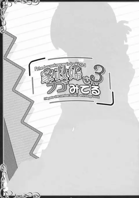 家政婦さんがみてる3