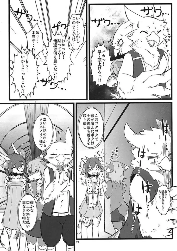 おさんぽじゅんび